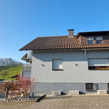 Grosse Tolle 4 Zimmer Ferienwohnung Im Herzen Des Odenwaldes Moerlenbach Luaran gambar