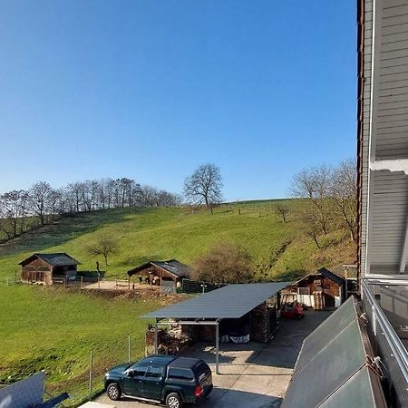 Grosse Tolle 4 Zimmer Ferienwohnung Im Herzen Des Odenwaldes Moerlenbach Luaran gambar