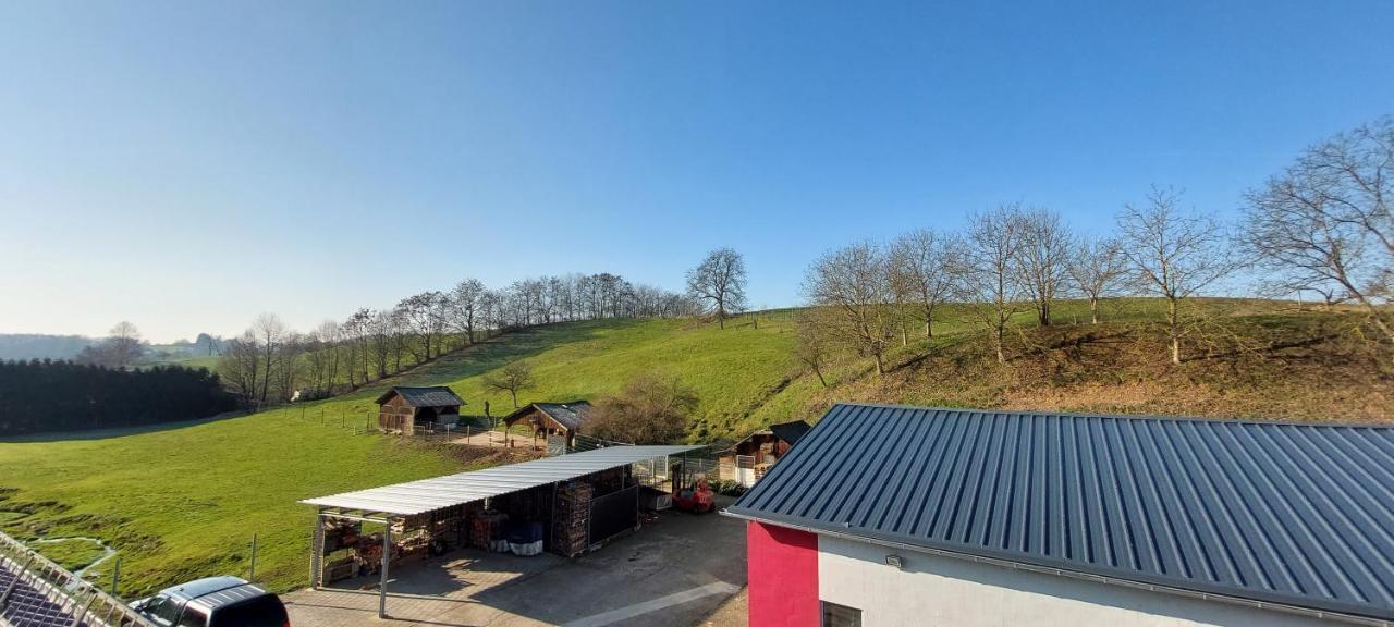 Grosse Tolle 4 Zimmer Ferienwohnung Im Herzen Des Odenwaldes Moerlenbach Luaran gambar