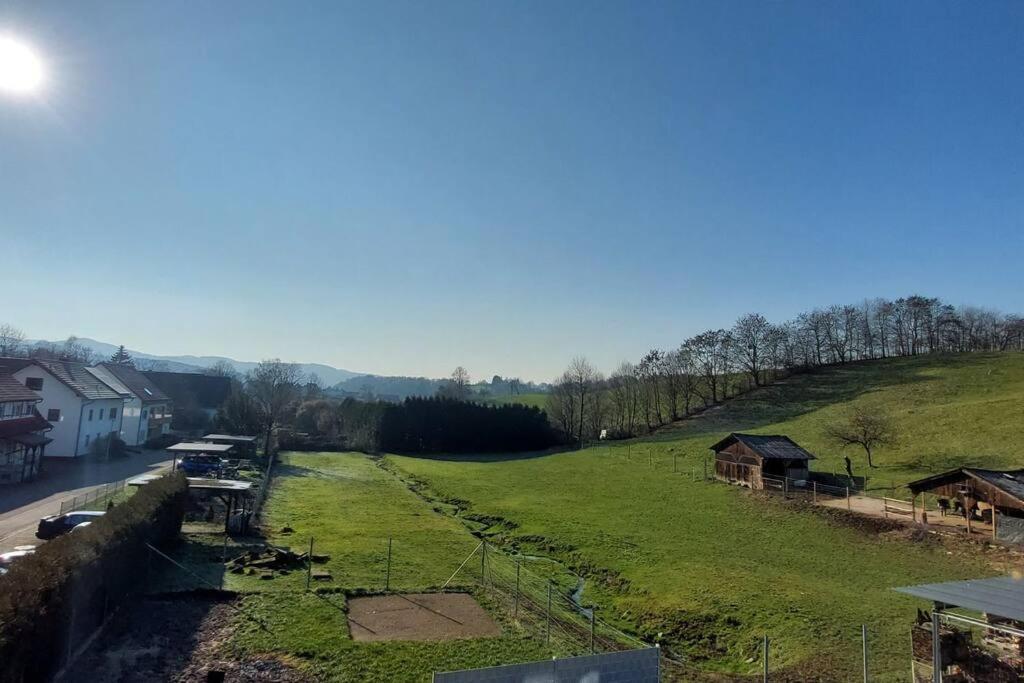 Grosse Tolle 4 Zimmer Ferienwohnung Im Herzen Des Odenwaldes Moerlenbach Luaran gambar