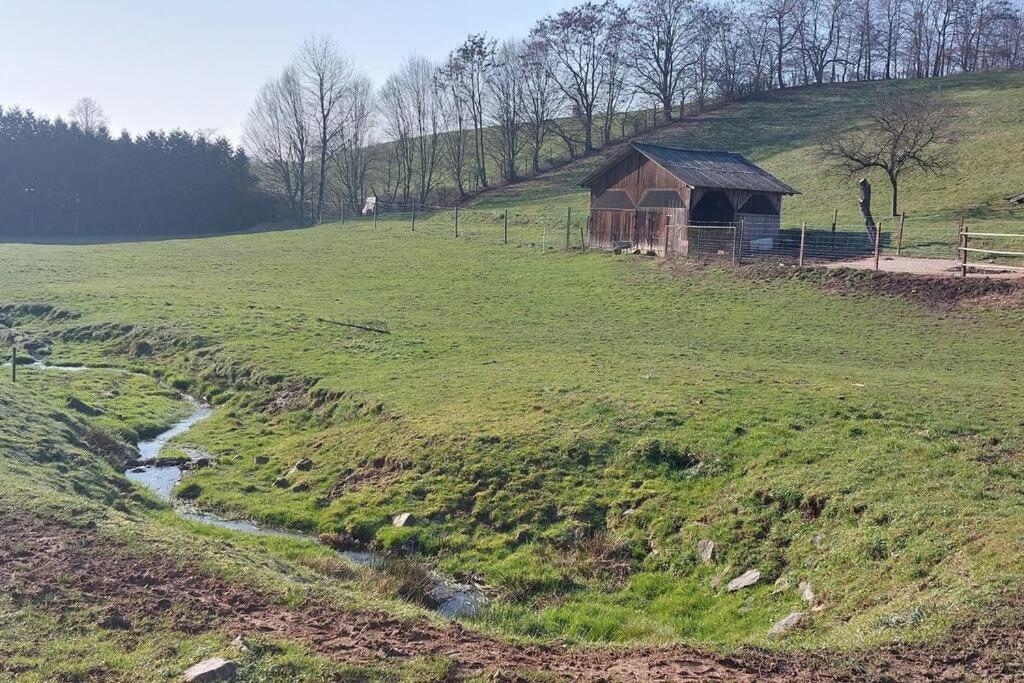 Grosse Tolle 4 Zimmer Ferienwohnung Im Herzen Des Odenwaldes Moerlenbach Luaran gambar
