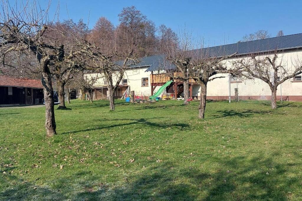 Grosse Tolle 4 Zimmer Ferienwohnung Im Herzen Des Odenwaldes Moerlenbach Luaran gambar
