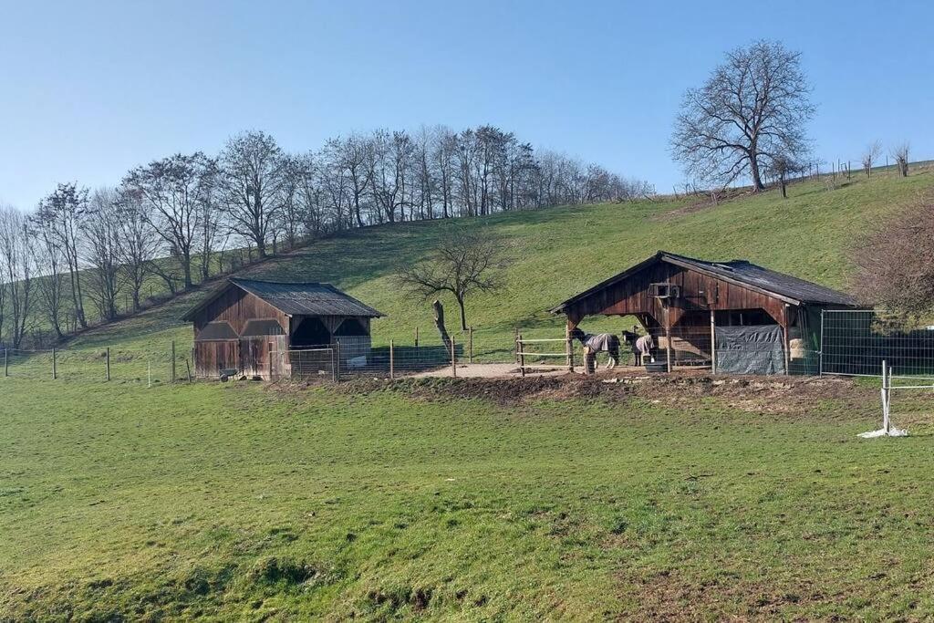Grosse Tolle 4 Zimmer Ferienwohnung Im Herzen Des Odenwaldes Moerlenbach Luaran gambar