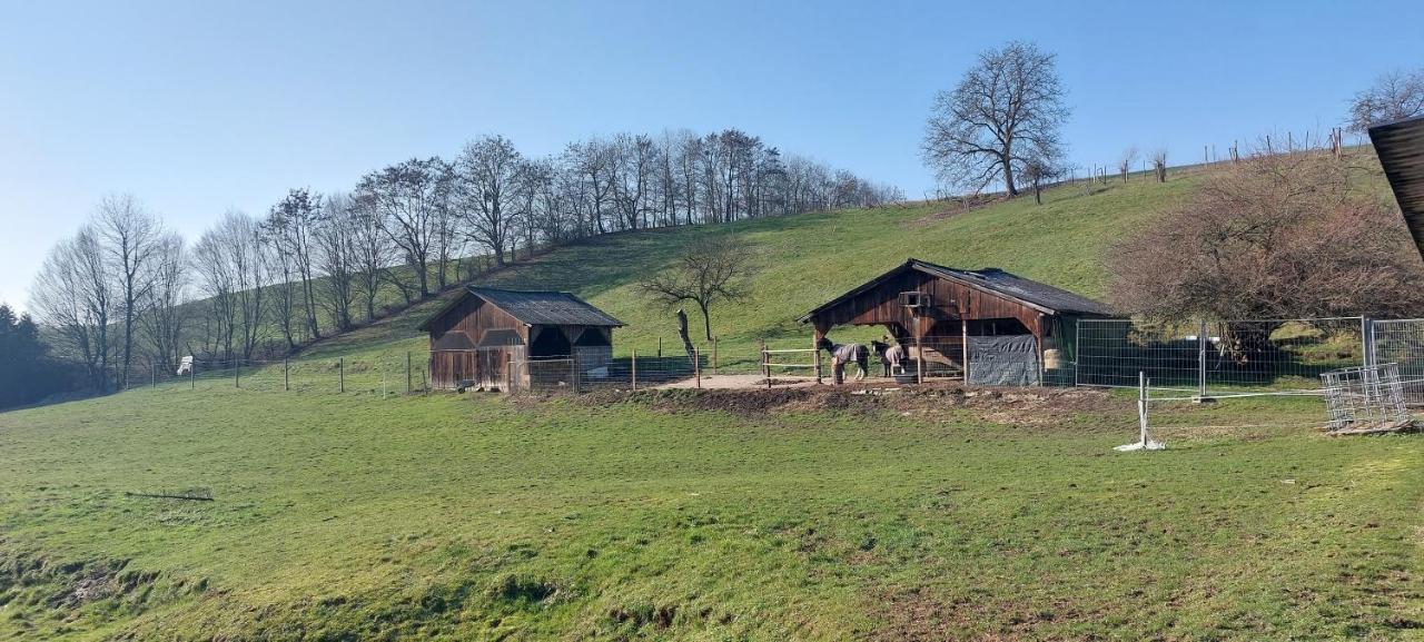 Grosse Tolle 4 Zimmer Ferienwohnung Im Herzen Des Odenwaldes Moerlenbach Luaran gambar